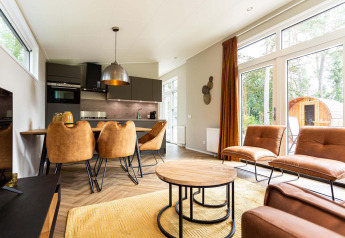 Modern glamping accommodation with leather furniture, open kitchen, and large windows looking to nature.