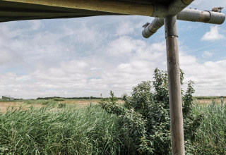 Vista del paisaje verde desde la terraza de una tienda safari en Duynpark Het Zwanenwater, Países Bajos.