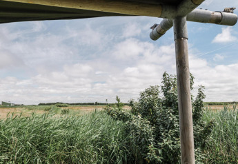 Vista del paisaje verde desde la terraza de una tienda safari en Duynpark Het Zwanenwater, Países Bajos.
