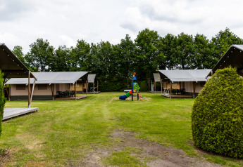 Safari-telt på De Tien Heugten, Holland, med grønne plæner, legeplads og telte omgivet af træer.