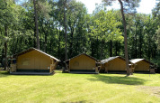 Cuatro tiendas safari en Holiday Park Bonte Vlucht, Países Bajos, rodeadas de césped y bosque verde.