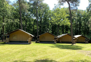 Cuatro tiendas safari en Holiday Park Bonte Vlucht, Países Bajos, rodeadas de césped y bosque verde.