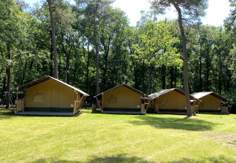 Cuatro tiendas safari en Holiday Park Bonte Vlucht, Países Bajos, rodeadas de césped y bosque verde.