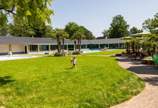 Amplio césped verde con piscina central, rodeado de tiny houses y palmeras en un día soleado.