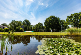 Casa pequeña junto a un estanque con lirios de agua, área de juegos, cojín inflable y árboles verdes.