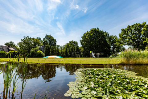 Tiny house near a pond with water lilies, playground and bouncy cushion, surrounded by trees and blue sky.