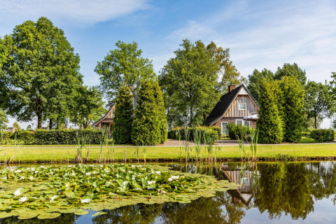 Tiny house by a pond with water lilies, surrounded by trees and grass, beneath a blue sky.