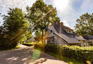 Día soleado en Wellness Lodge XL, una pequeña casa rodeada de árboles en Hof van Salland, Países Bajos.
