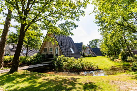 Casas pequeñas tipo Wellness Lodge XL en forma de A en Hof van Salland, Países Bajos, rodeadas de árboles.