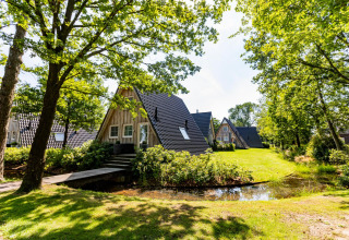 Casas pequeñas tipo Wellness Lodge XL en forma de A en Hof van Salland, Países Bajos, rodeadas de árboles.