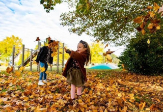 Un niño juega con hojas otoñales cerca de la tiny house Wellness Lodge XL en Hof van Salland, Países Bajos.