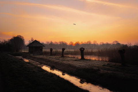 Pequeña casa junto al agua al atardecer, rodeada de árboles podados y aves en el cielo naranja.