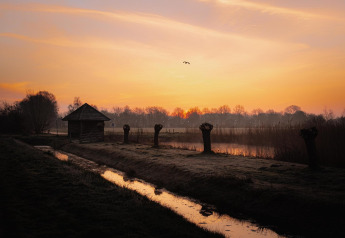 Pequeña casa junto al agua al atardecer, rodeada de árboles podados y aves en el cielo naranja.