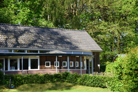 Hytte ved Camping de Koeksebelt i Holland med trævægge, store vinduer og grønne omgivelser i solskin.