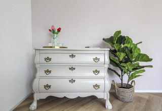 Tocador elegante con tiradores dorados, planta verde en cesta y jarrón de tulipanes en Eco Lodge Países Bajos.