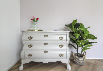 Tocador elegante con tiradores dorados, planta verde en cesta y jarrón de tulipanes en Eco Lodge Países Bajos.