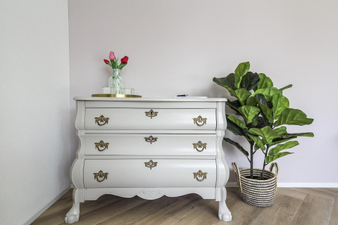 Elegant kommode med messinghåndtag, grøn plante i fletkurv og vase med tulipaner på Eco Lodge i Nederlandene.