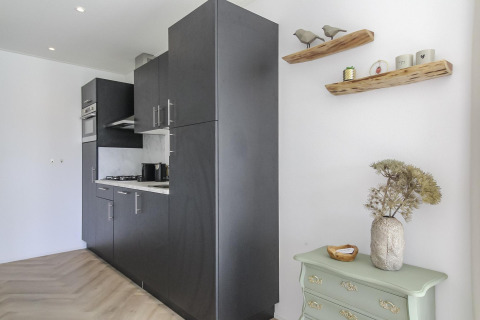 Cocina moderna en Eco Lodge de Uniq Leisure, Países Bajos, con gabinetes oscuros y decoración minimalista.