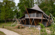 Safari tent Kings Lodge with hot tub at Sandberghe in the Netherlands, nestled among tall green trees.
