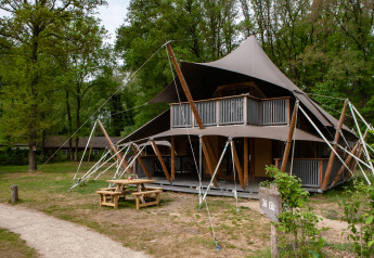 Safari tent Kings Lodge with hot tub at Sandberghe in the Netherlands, nestled among tall green trees.