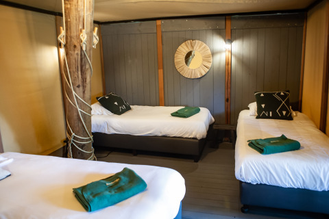Habitación acogedora con tres camas individuales en tienda safari Kings Lodge con jacuzzi en Sandberghe, Países Bajos.