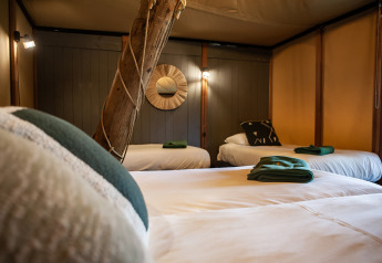 Interior de la tienda safari Kings Lodge en Sandberghe, Países Bajos, con tres camas y detalles rústicos.