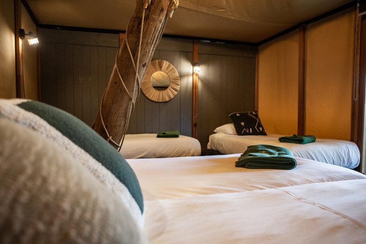 Interior of Kings Lodge Safari tent at Sandberghe, Netherlands, featuring three beds and rustic charm.