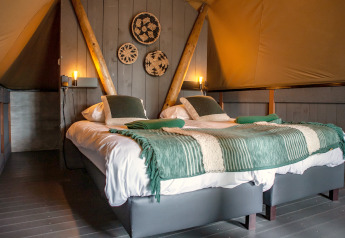 Indvendig udsigt af Kings Lodge safari-telt med to senge, grønne tæpper og vægdekoration i Sandberghe.
