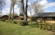 Safari-telte på De Scherpenhof i Holland omgivet af grønne plæner og træer under en blå himmel.