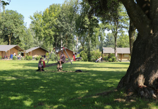 Børn leger på en vippe foran safaritelte på De Scherpenhof campingplads i Holland, omgivet af grønt.