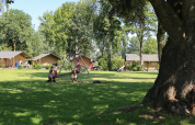 Children play on a seesaw near safari tents at De Scherpenhof campsite in the Netherlands, surrounded by trees.