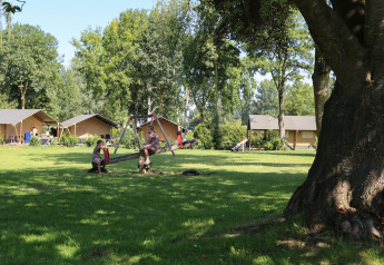 Des enfants jouent sur une balançoire devant des tentes safari à De Scherpenhof, aux Pays-Bas, entourés d’arbres.