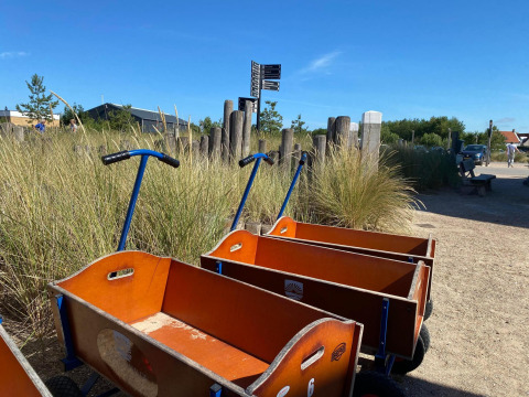 Carritos de madera alineados junto a pasto alto en un sendero arenoso de un alojamiento glamping soleado.