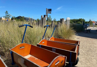Carritos de madera alineados junto a pasto alto en un sendero arenoso de un alojamiento glamping soleado.