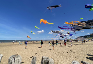 Des cerfs-volants colorés volent au-dessus d'une plage où les gens profitent près de tentes glamping.