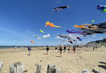 Cometas coloridas vuelan sobre una playa de arena donde personas disfrutan cerca de tiendas glamping.