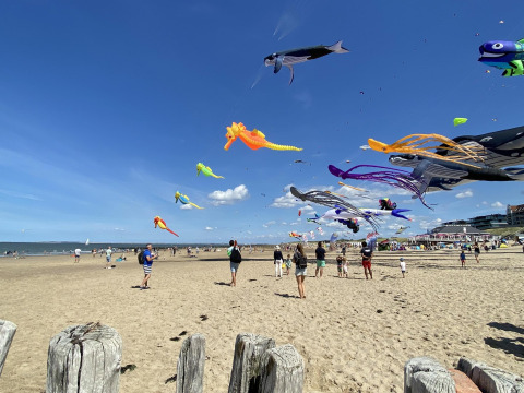 Bunte Drachen fliegen über einem Sandstrand mit Menschen und Zelten unter einem klaren Himmel.