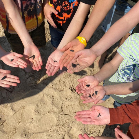 Kinderen laten gevonden haaientanden zien op het zandstrand tijdens een verblijf op een glamping.