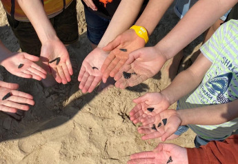 Niños enseñan dientes de tiburón encontrados en la arena durante su estancia en un alojamiento glamping.