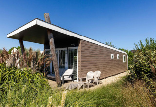 Moderno loft playero con wellness en Camping Zonneweelde, rodeado de vegetación bajo un cielo azul claro.