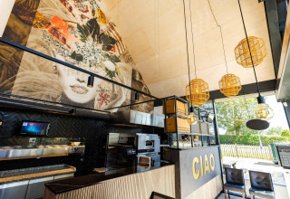 Intérieur de lodge moderne avec plafond haut, grande fresque murale, étagères ouvertes et lampes au Camping Zonneweelde.