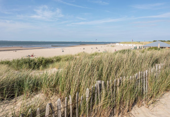 Playa de arena con dunas y pastos marinos en Beach Loft, Camping Zonneweelde, Países Bajos.