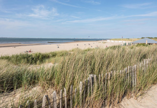 Zandstrand met duinen en strandgras aan Beach Loft, Camping Zonneweelde in Nederland.