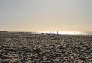 Scena di spiaggia al tramonto presso Beach Loft al Camping Zonneweelde nei Paesi Bassi.