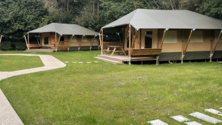Glampingtent Family bij Urban-Gardens in België, luxe tenten op grasveld met groene bosrijke achtergrond.