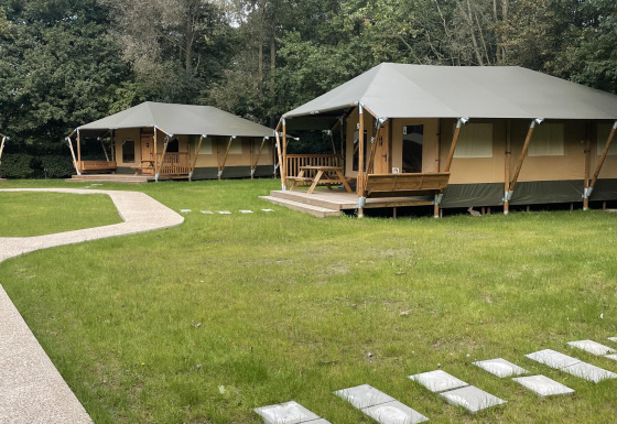 Glampingtent Family bij Urban-Gardens in België, luxe tenten op grasveld met groene bosrijke achtergrond.