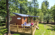 Familia disfruta en la terraza de una cabaña en Veluwecamping De Pampel, rodeada de bosque verde.
