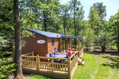 Familia disfruta en la terraza de una cabaña en Veluwecamping De Pampel, rodeada de bosque verde.