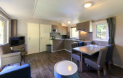 Salon moderne et cuisine dans un cottage à Veluwecamping De Pampel, Pays-Bas, avec coin repas et canapé.