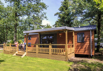 Billede af en træhytte ved Veluwecamping De Pampel, Holland, med veranda i grønne omgivelser.